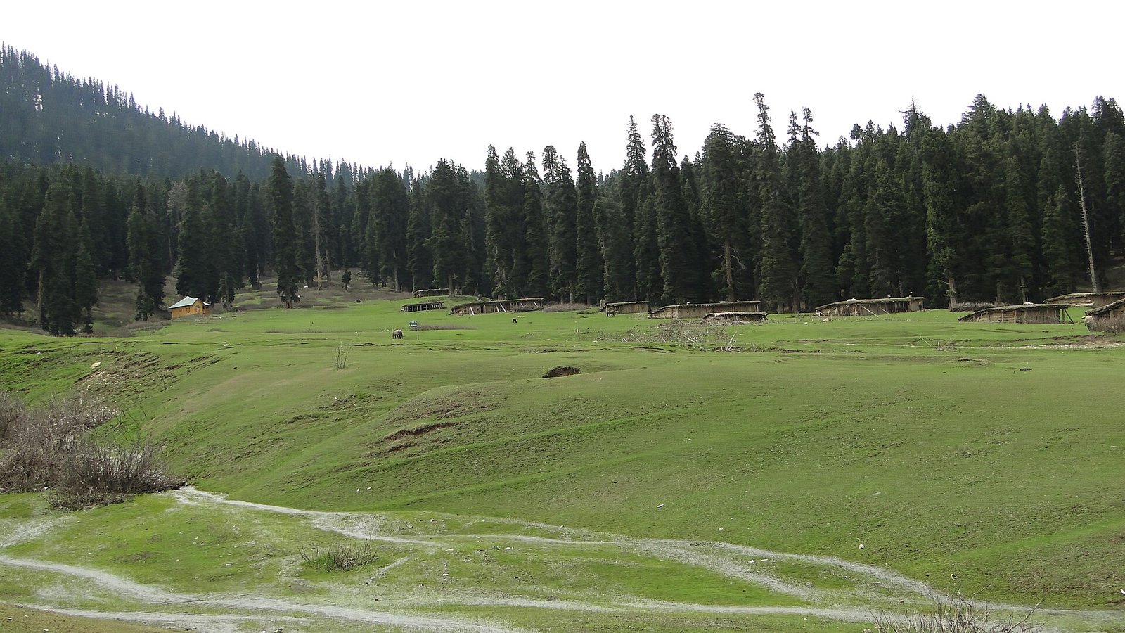 Doodhpathri Kashmir travel photo