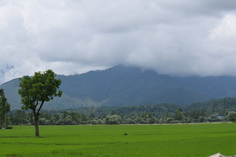 Lolab Valley, Kashmir