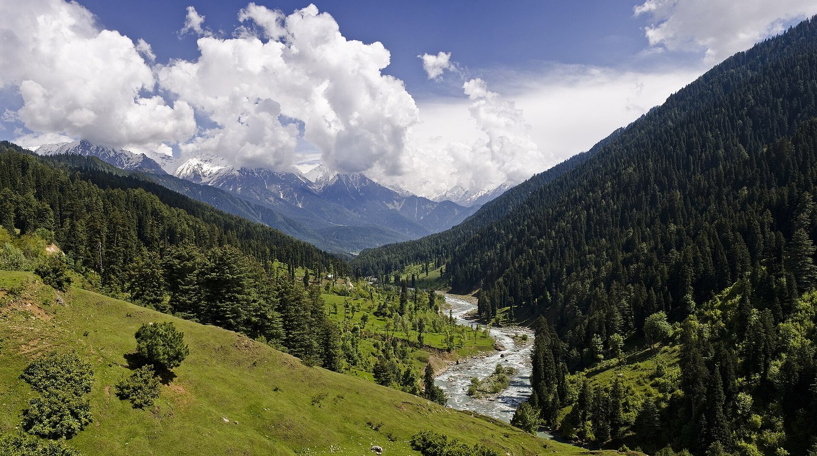 Summer in Kashmir — Green Valleys & Adventure