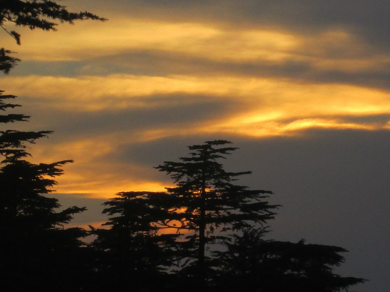 Photography Tours in Kashmir