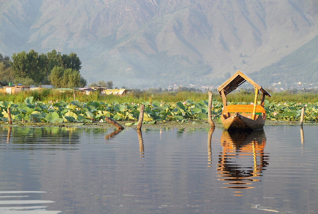 Shikara Ride in Kashmir