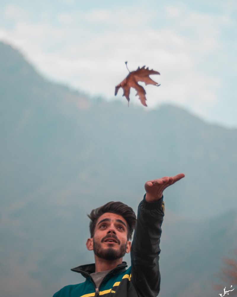 Autumn in Kashmir — Golden Chinar Landscapes
